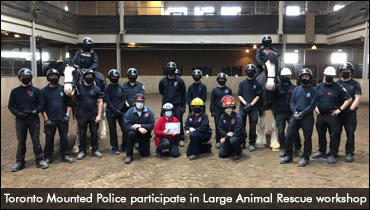 Rescue Workshops Resume For Toronto Mounted Police