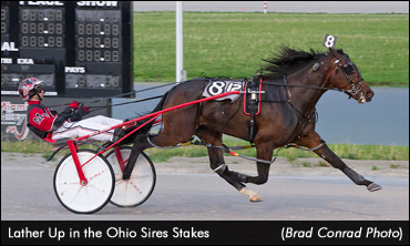 Cup Eligible Lather Up Sets Record