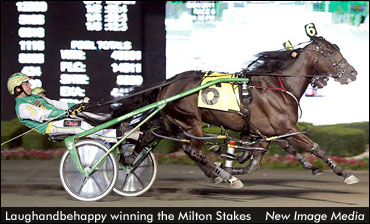 Laughandbehappy Prevails In Milton