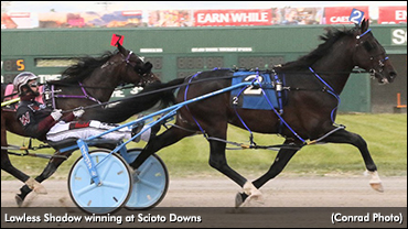 Lawless Shadow First In Return