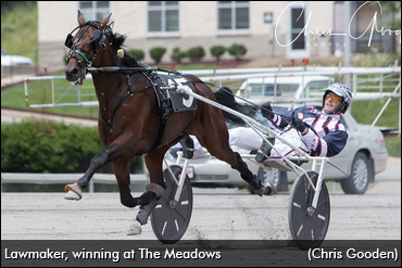 MacDonald Steps Aside