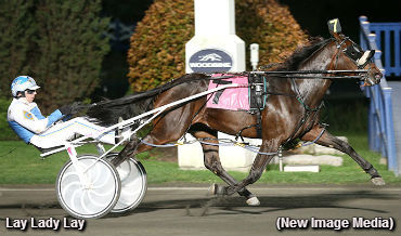 Favourites Rule In Autumn Series