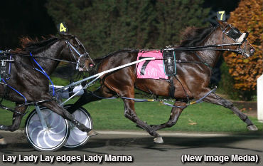 Fillies Flaunt It In Autumn Series