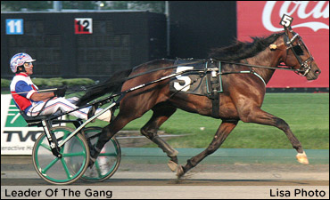 Twenty-Three To Contest Wellwood Elims