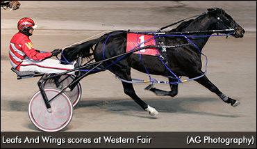 Leafs And Wings Wins In London