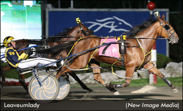 Favourites Deliver In Town Pro Opener