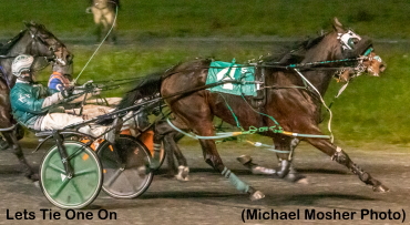 Colts Shine In Stakes At Fraser Downs