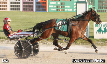 Lex Was Large In My Metallica Stake 