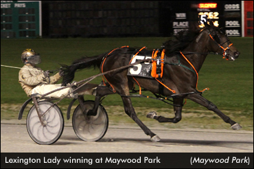 Illinois Freshmen Tested At Maywood