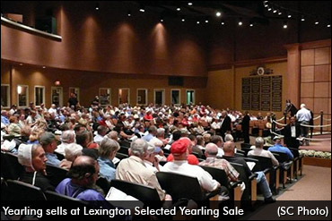 Lexington Yearling Sale Concludes