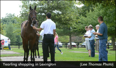 Lexington Selected Catalog Online