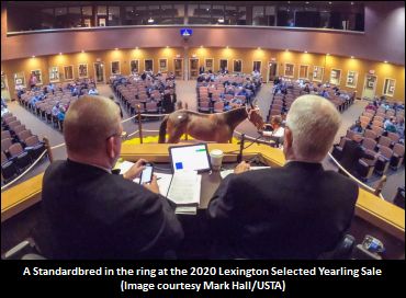 Lexington Selected Video, Results