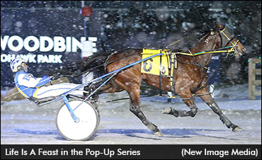 Pop-Up Series Winners Share Spotlight 