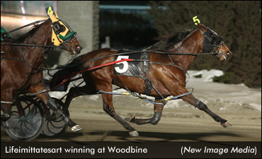 Lifeimittatesart Upsets In Open