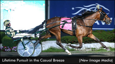 Lifetime Pursuit Ties Canadian Record