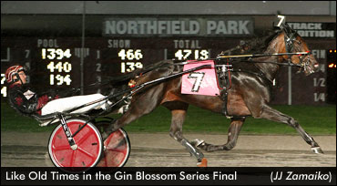 Like Old Times Wins Gin Blossom Series