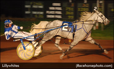 Ghostly Harness Racing Sightings