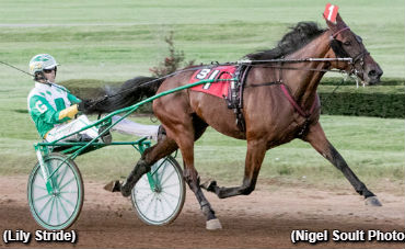  Rookie Trotters Impress At Red Mile