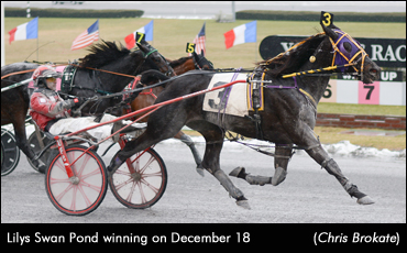 Yonkers Open Trot To Lilys Swan Pond