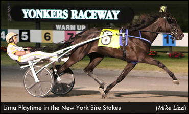 Lima Playtime Stars In Sire Stakes