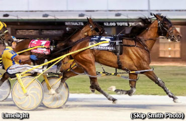 Limelight In Spotlight at Pompano