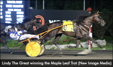 Lindy The Great Seeks Another Trotting Classic