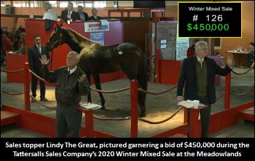 Lindy The Great Tops Tattersalls Sale