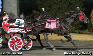 Lindys Tru Grit Lowers The Boom