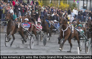 MacDonell On Third Place Finish For Define The World