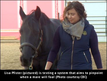 Pinpointing A Foaling Time?