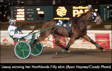 Field Set For Northlands Filly Pace