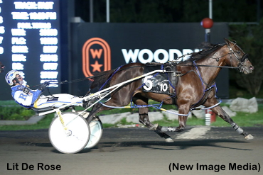 Lit De Rose Perfect In Preferred