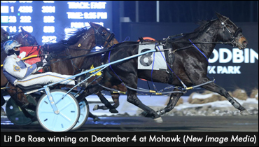 Lit De Rose Defeats Distaffers Again