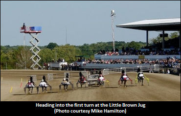 Young On Piece Of The Rock