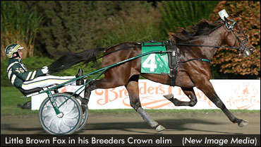 Fields Set For 2012 Breeders Crown