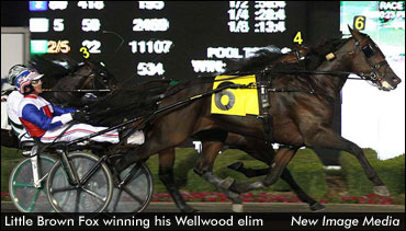 Takter On His Wellwood Trio