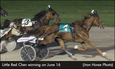 Preferred Trotters Shine At Grand River