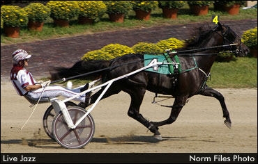 Cross Country Sojourn To Yonkers Trot