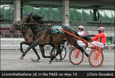 'Fast' Filly Sets Stakes Record