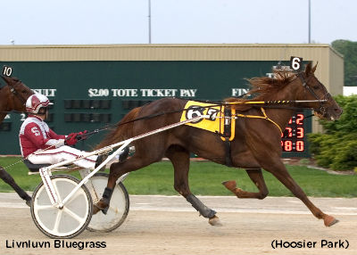 Indiana Sires Stakes Get Underway