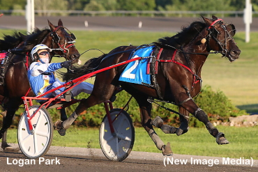 Rookie Trotters Impress; Jamieson Nabs Five