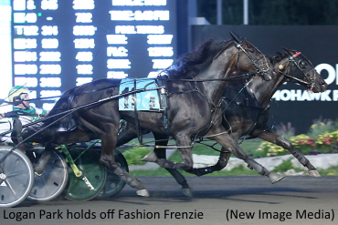 Gold Triple For Logan Park Gold Triple For Logan Park