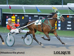 Meadows Track Record For Lolique 