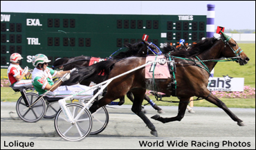 Lolique It Is In Chester Open Trot