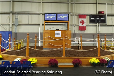 London Selected Video, Results