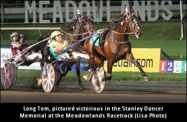 Long Tom Retired To Stud