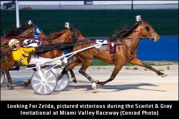 'Zelda' Getting Chance To Excel