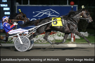 Looks Like A Big Weekend