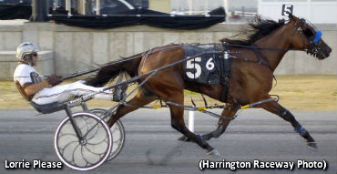 Harrington Record For Lorrie Please