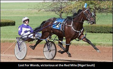 Lost For Words To Stand Stud In 2018